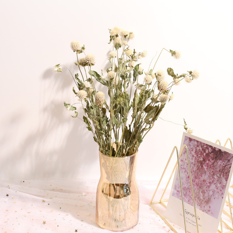 Natural Preservado Seco Amaran - Natural Florist Supply avaliação e preço